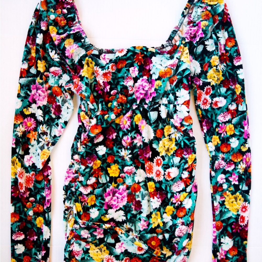 Wild Fable Multi-Color Floral Velvet Mini Dress